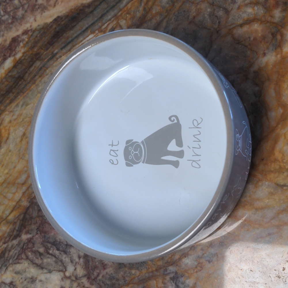 PETRAGEOUS Playful Pet Eat, Drink, Bark Dog Bowl Feeder